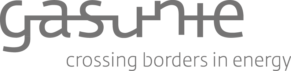 Logo Gasunie Jaarverslag 2021